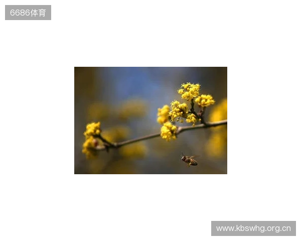 布达佩斯Major第一阶段:战舰轰鸣!FaZe 2-1 RED Canids 布达佩斯Major第一阶段:战舰轰鸣!FaZe 2-1 RED Canids